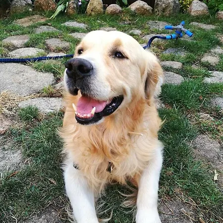 El Balcon De Suenos * Trevejo