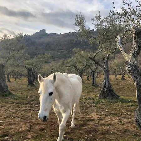 El Balcon De Suenos Landsted *