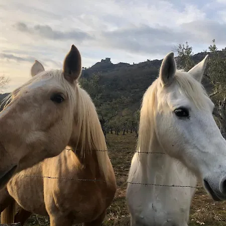 El Balcon De Suenos *