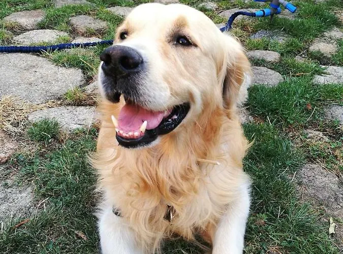 El Balcon De Suenos * Trevejo