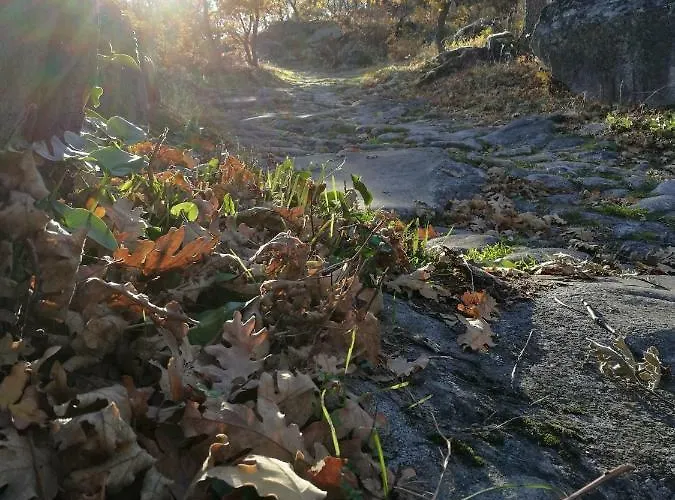 Lantställe El Balcon De Suenos Trevejo