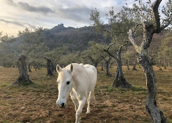 El Balcon De Suenos Lantställe *