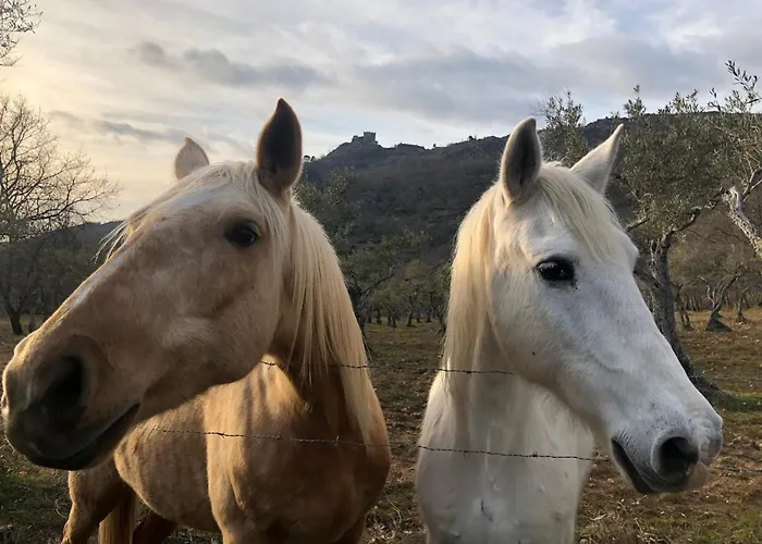 El Balcon De Suenos *